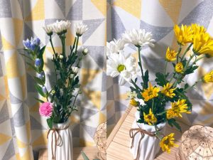 ６月の季節飾りとハイドロカルチャー（2021年版）