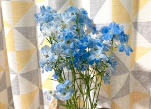 3月から4月の季節飾り